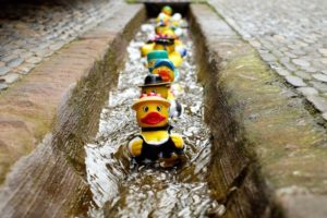 get your ducks in a row before you start investing