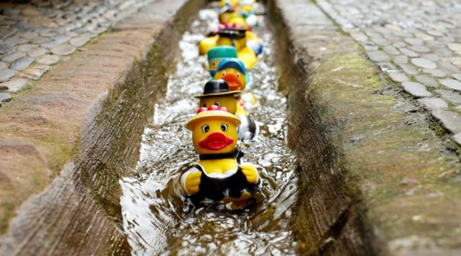 get your ducks in a row before you start investing